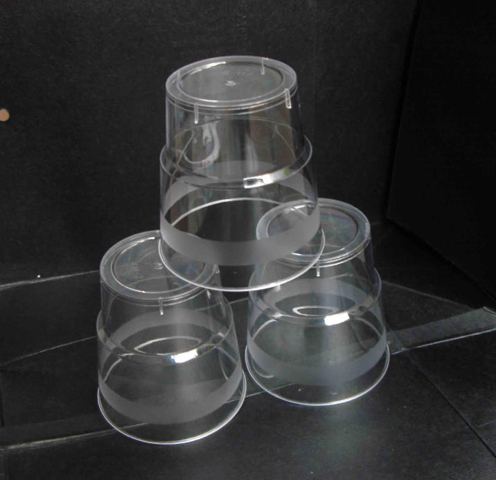 China Thermoforming Machines by Wenzhou Rayshape