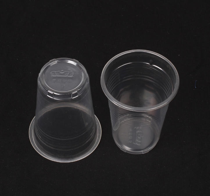 Shaping the Future with Precision: Plastic Thermoforming Machines by Rayshape