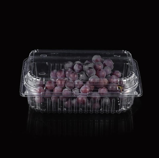 Revolutionizing High-Volume Manufacturing: Rayshape Multi-Station Thermoforming Machines