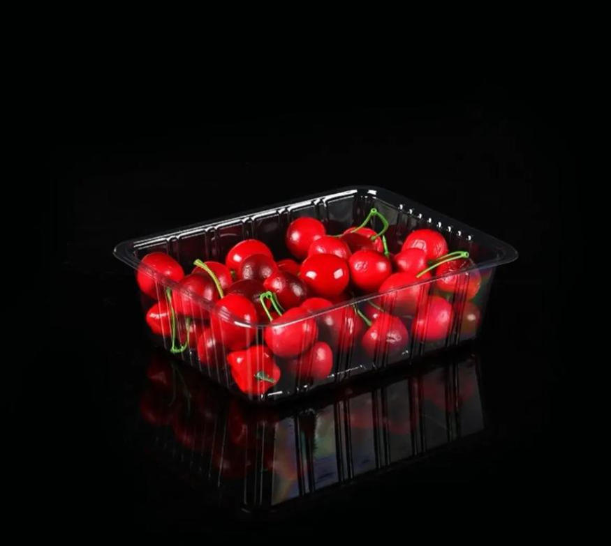 Automatic Multi-Station Thermoforming Machine by Rayshape