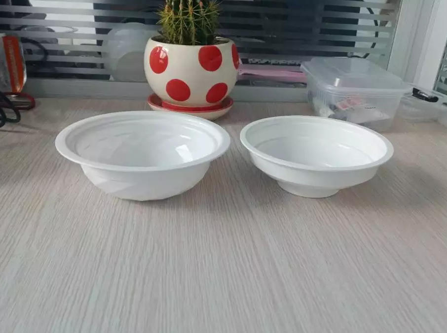 The Freshness Advantage: Rayshape Fruit Box Making Machine
