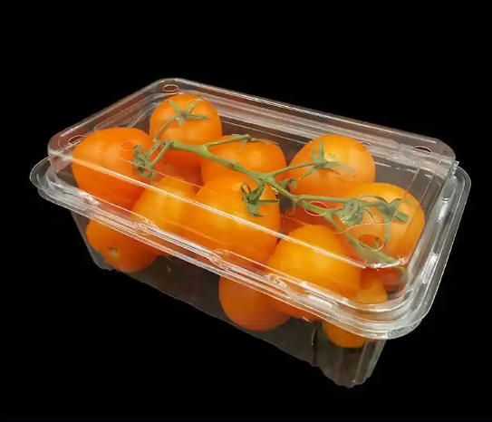 Plastic Thermoforming Machine Sustainability Innovations