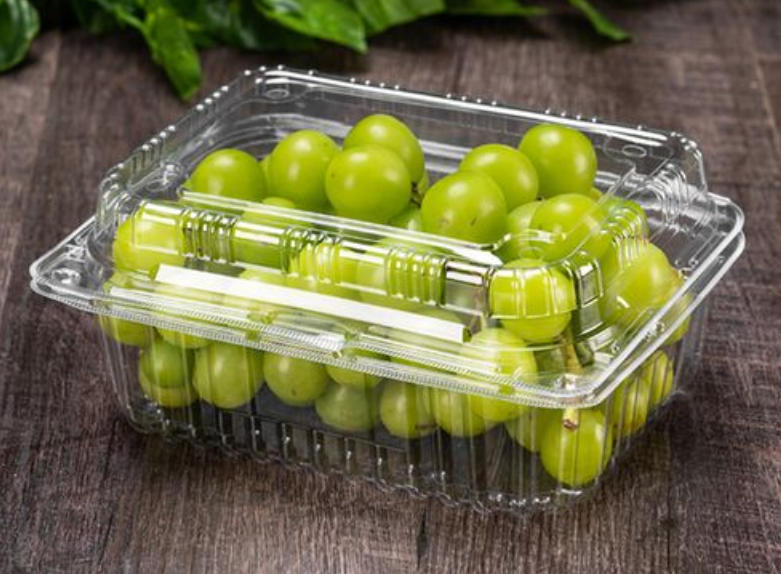 Precision and Performance: Plastic Cap Forming Machines by Rayshape
