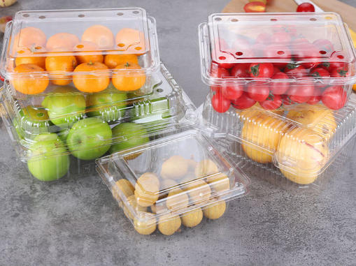 Revolutionizing High-Volume Manufacturing: Rayshape Multi-Station Thermoforming Machines