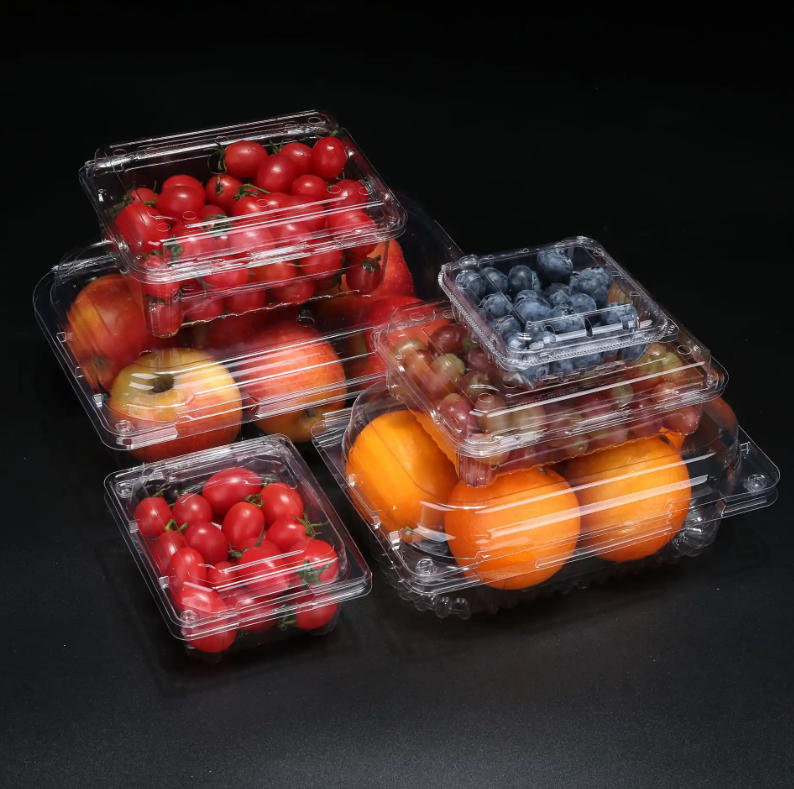 The Freshness Advantage: Rayshape Fruit Box Making Machine