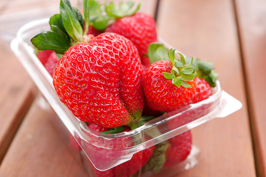 Unveiling the Power of Automatic Plastic Thermoforming Machines by Rayshape
