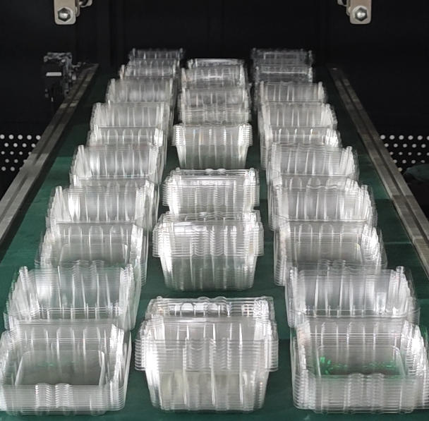 Four-Station Plastic Thermoforming Machine Video