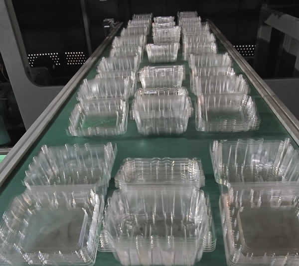 China Plastic Thermoforming Machine